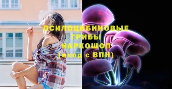 СК Алексеевка
