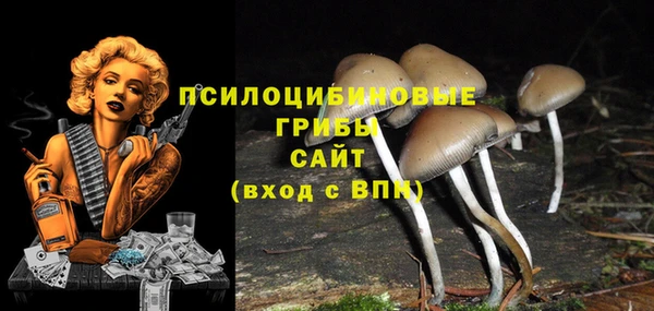 ПСИЛОЦИБИНОВЫЕ ГРИБЫ Арсеньев