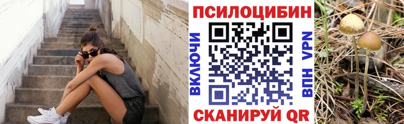 Псилоцибиновые грибы Psilocybe  omg ONION  Красный Кут 